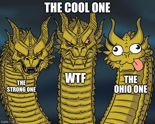 Three-headed Dragon | THE COOL ONE; WTF; THE OHIO ONE; THE STRONG ONE | image tagged in three-headed dragon | made w/ Imgflip meme maker