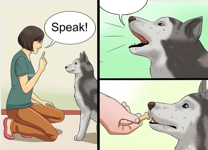 High Quality WikiHow Dog Speaking Blank Meme Template
