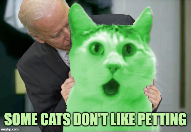 No Joe | SOME CATS DON'T LIKE PETTING | image tagged in raycat biden,memes | made w/ Imgflip meme maker