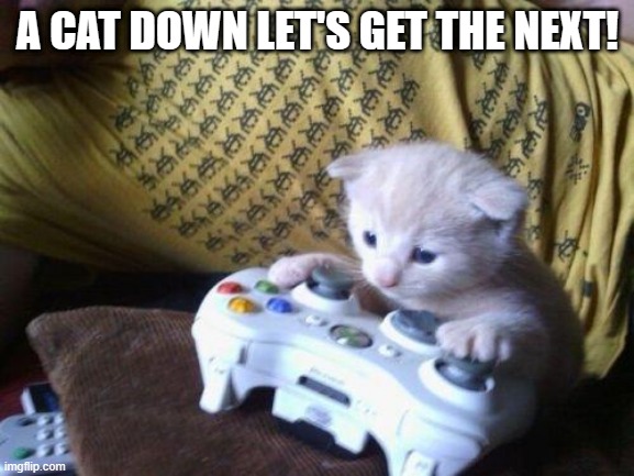 A cat down! | A CAT DOWN LET'S GET THE NEXT! | image tagged in cute kitty on xbox | made w/ Imgflip meme maker