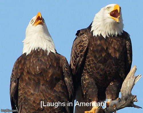 High Quality Laughs in american Blank Meme Template