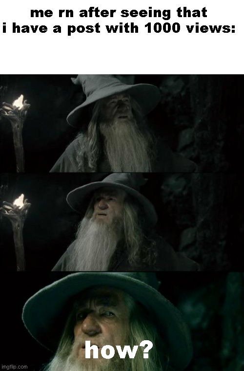 There was a meme that I posted and know itt has 1052 views | me rn after seeing that i have a post with 1000 views:; how? | image tagged in memes,confused gandalf | made w/ Imgflip meme maker