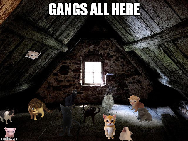 Old attic | GANGS ALL HERE | image tagged in old attic | made w/ Imgflip meme maker
