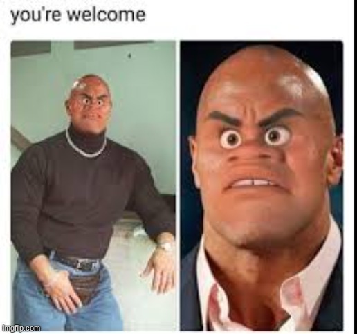 you're welcome | image tagged in the rock,memes,cursed image | made w/ Imgflip meme maker