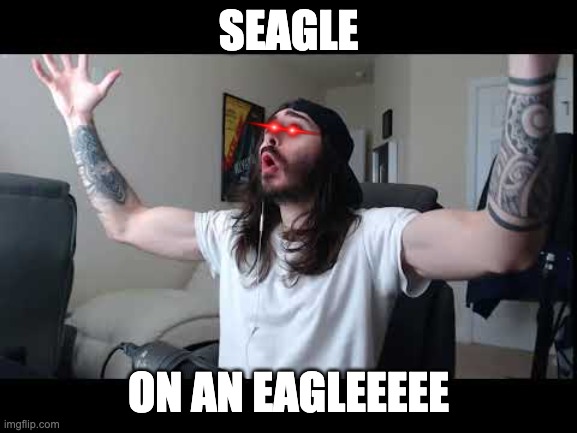 Whoooo baby | SEAGLE ON AN EAGLEEEEE | image tagged in whoooo baby | made w/ Imgflip meme maker