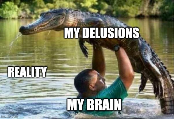 I don't like reality | MY DELUSIONS; REALITY; MY BRAIN | image tagged in gator | made w/ Imgflip meme maker