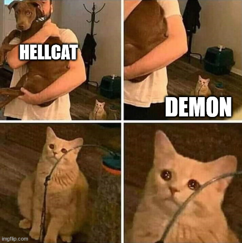 Ignored cat | HELLCAT; DEMON | image tagged in ignored cat | made w/ Imgflip meme maker
