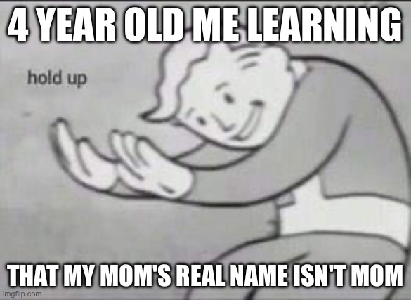 Wait...wha- | 4 YEAR OLD ME LEARNING; THAT MY MOM'S REAL NAME ISN'T MOM | image tagged in fallout hold up | made w/ Imgflip meme maker