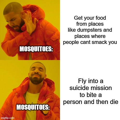 MOSQUITOES. SUCK. | Get your food from places like dumpsters and places where people cant smack you; MOSQUITOES:; Fly into a suicide mission to bite a person and then die; MOSQUITOES: | image tagged in memes,drake hotline bling,mosquito,surreal angery,funny,relatable | made w/ Imgflip meme maker