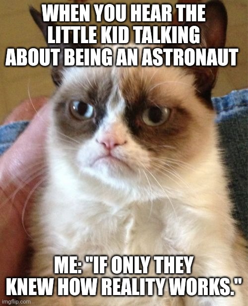Reality ain't disappointing Thanos... It's cruel | WHEN YOU HEAR THE LITTLE KID TALKING ABOUT BEING AN ASTRONAUT; ME: "IF ONLY THEY KNEW HOW REALITY WORKS." | image tagged in memes,grumpy cat | made w/ Imgflip meme maker