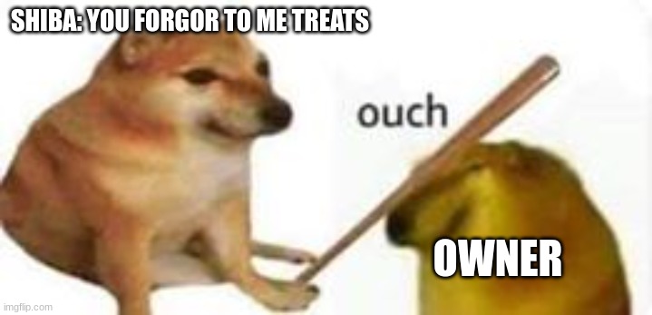 give your shiba treats | SHIBA: YOU FORGOR TO ME TREATS; OWNER | image tagged in shiba bonks doge | made w/ Imgflip meme maker