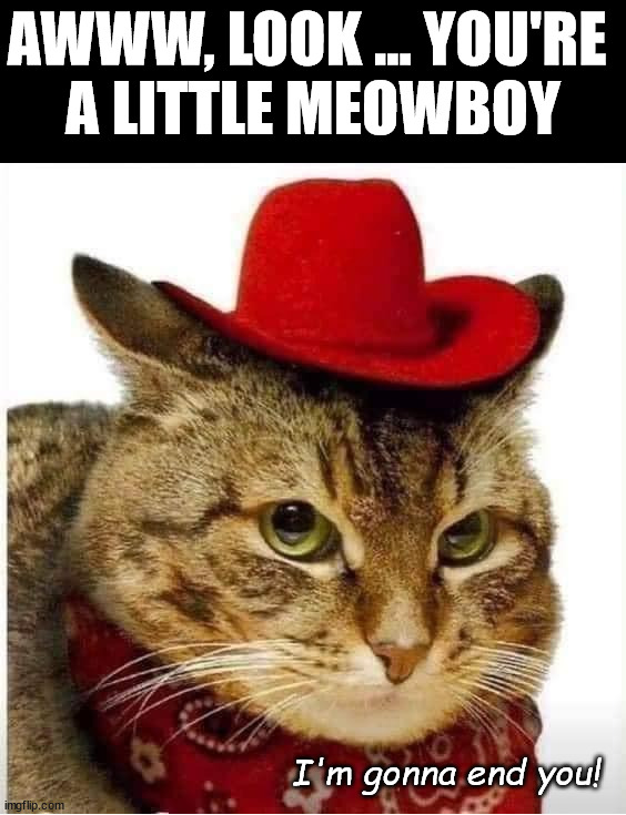 Meowboy | AWWW, LOOK ... YOU'RE 
A LITTLE MEOWBOY; I'm gonna end you! | image tagged in cats | made w/ Imgflip meme maker