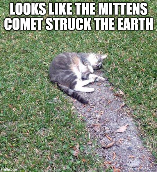 LOOKS LIKE THE MITTENS COMET STRUCK THE EARTH | image tagged in cats | made w/ Imgflip meme maker