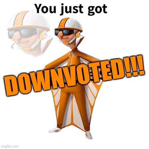 Posting this here because I'm banned from Unsubmitted Images | DOWNVOTED!!! | image tagged in you just got vectored | made w/ Imgflip meme maker