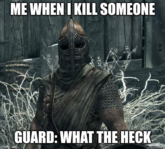 bruh | ME WHEN I KILL SOMEONE; GUARD: WHAT THE HECK | image tagged in skyrimguard,skyrim | made w/ Imgflip meme maker