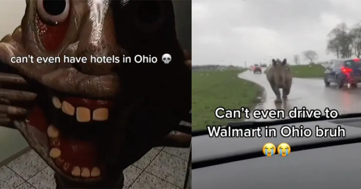ohio Blank Meme Template