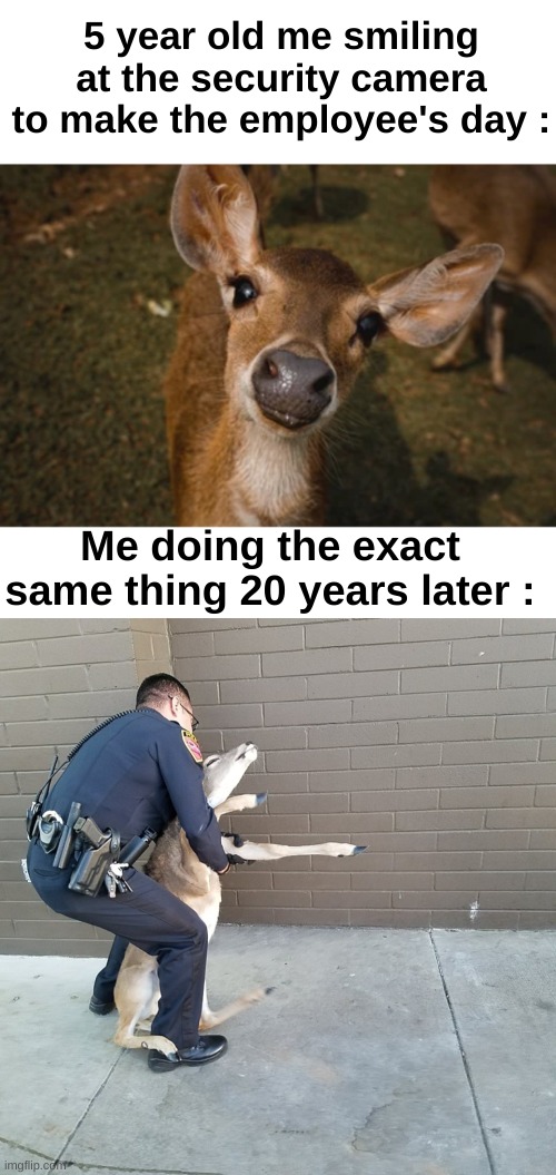 "Oh dear why did I get arrested" | 5 year old me smiling at the security camera to make the employee's day :; Me doing the exact same thing 20 years later : | image tagged in memes,funny,relatable,childhood,cop arrests deer,front page plz | made w/ Imgflip meme maker