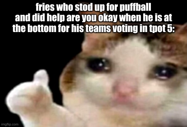 would have chose fries if it were not for the fact that puffball has been exluded for so long now by gb | fries who stod up for puffball and did help are you okay when he is at the bottom for his teams voting in tpot 5: | image tagged in sad cat thumbs up | made w/ Imgflip meme maker