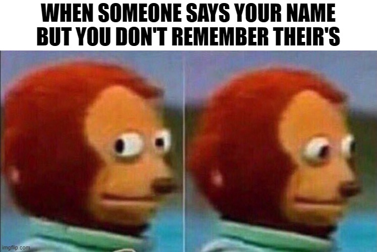 Monkey looking away | WHEN SOMEONE SAYS YOUR NAME BUT YOU DON'T REMEMBER THEIR'S | image tagged in monkey looking away | made w/ Imgflip meme maker