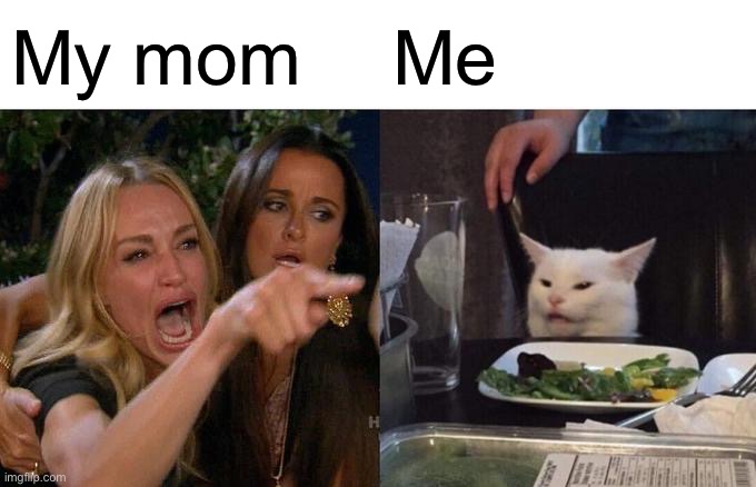 Woman Yelling At Cat | My mom; Me | image tagged in memes,woman yelling at cat | made w/ Imgflip meme maker