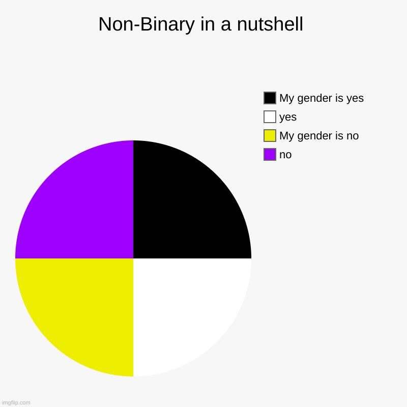 Non-Binary in a nutshell | no, My gender is no, yes, My gender is yes | image tagged in charts,pie charts | made w/ Imgflip chart maker
