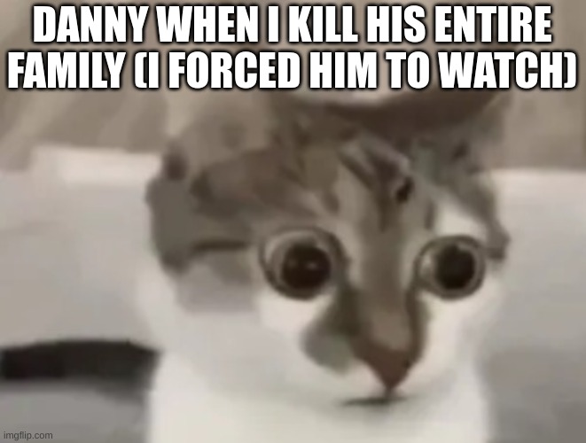 in shock cat 2 | DANNY WHEN I KILL HIS ENTIRE FAMILY (I FORCED HIM TO WATCH) | image tagged in in shock cat 2 | made w/ Imgflip meme maker