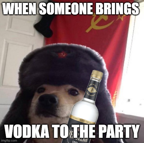 POV: Me and the boys are being russian and drunk | WHEN SOMEONE BRINGS; VODKA TO THE PARTY | image tagged in russian doge,russia,vodka,doge | made w/ Imgflip meme maker