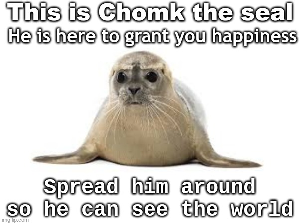 (Btw I am the og poster) (repost allowed) | This is Chomk the seal; He is here to grant you happiness; Spread him around so he can see the world | image tagged in seal,happy seal,memes | made w/ Imgflip meme maker