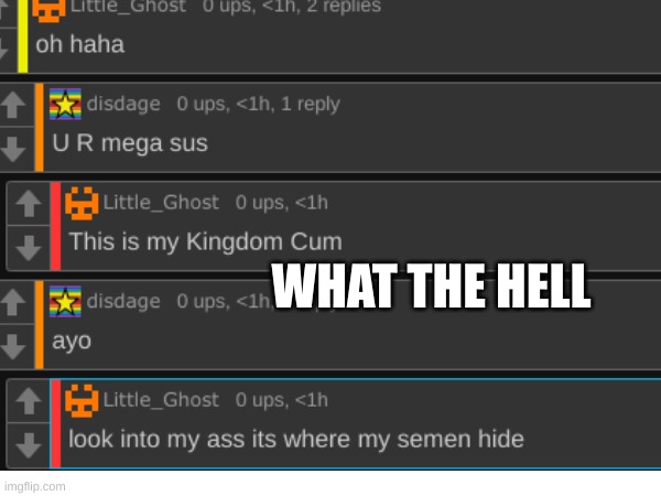 WHAT THE HELL | made w/ Imgflip meme maker