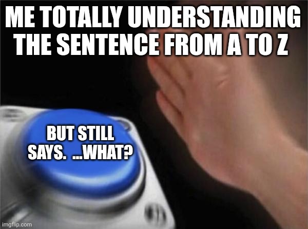 Blank Nut Button | ME TOTALLY UNDERSTANDING THE SENTENCE FROM A TO Z; BUT STILL SAYS.  ...WHAT? | image tagged in memes,blank nut button | made w/ Imgflip meme maker