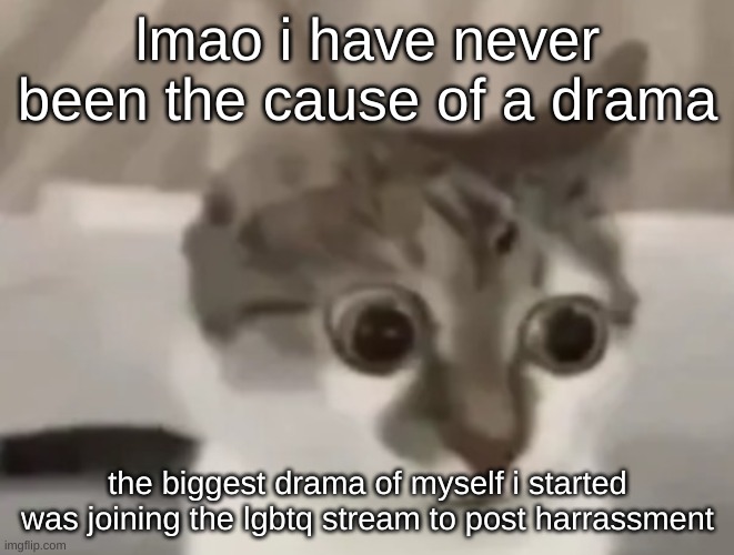 in shock cat 2 | lmao i have never been the cause of a drama; the biggest drama of myself i started was joining the lgbtq stream to post harrassment | image tagged in in shock cat 2 | made w/ Imgflip meme maker