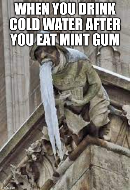 gremlin | WHEN YOU DRINK COLD WATER AFTER YOU EAT MINT GUM | image tagged in funny,funny memes | made w/ Imgflip meme maker