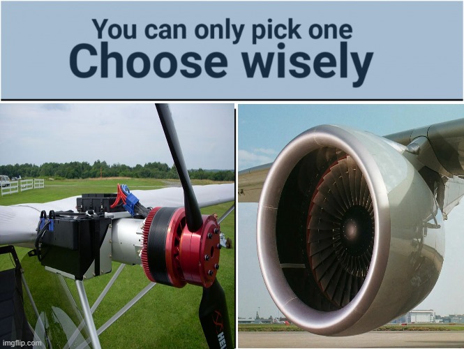 choose wisely | image tagged in funny | made w/ Imgflip meme maker