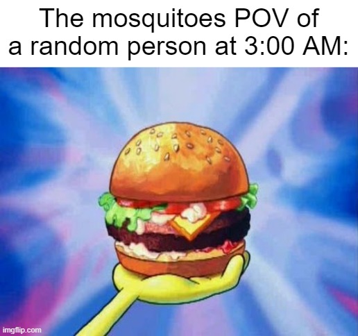 those sneaky mosquitoes | The mosquitoes POV of a random person at 3:00 AM: | image tagged in krabby patty | made w/ Imgflip meme maker