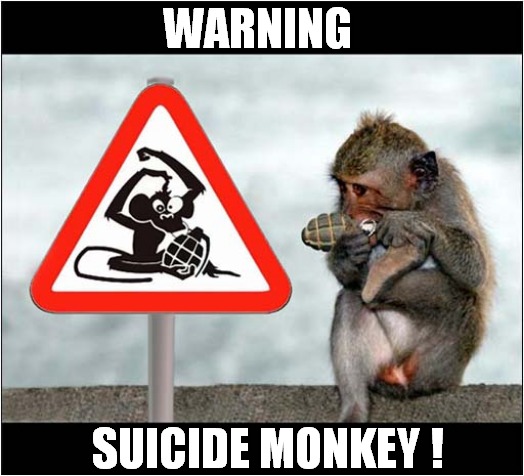 Be Afraid ... Very Afraid ! | WARNING; SUICIDE MONKEY ! | image tagged in warning sign,suicide,monkey,grenade,dark humour | made w/ Imgflip meme maker