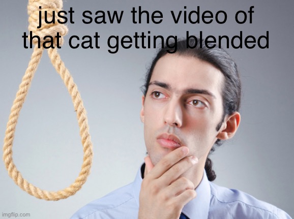 ㅤ | just saw the video of that cat getting blended | image tagged in noose | made w/ Imgflip meme maker