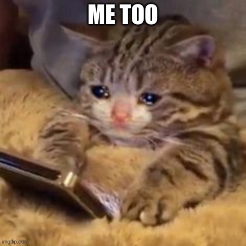 Crying cat on phone | ME TOO | image tagged in crying cat on phone | made w/ Imgflip meme maker