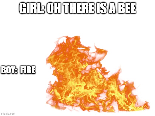 my first meme | GIRL: OH THERE IS A BEE; BOY:  FIRE | image tagged in funny memes | made w/ Imgflip meme maker