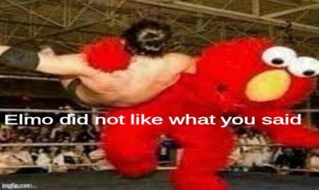 elmo did not like what you said | image tagged in elmo did not like what you said | made w/ Imgflip meme maker