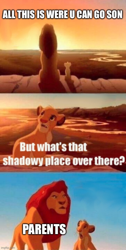 My mom | ALL THIS IS WERE U CAN GO SON; PARENTS | image tagged in memes,simba shadowy place | made w/ Imgflip meme maker