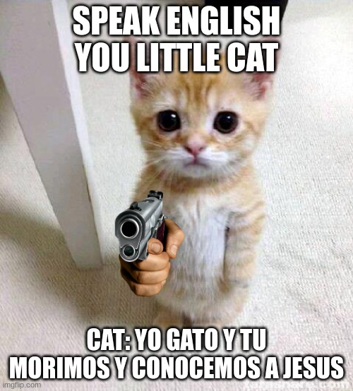 Cute Cat Meme | SPEAK ENGLISH YOU LITTLE CAT; CAT: YO GATO Y TU MORIMOS Y CONOCEMOS A JESUS | image tagged in memes,cute cat | made w/ Imgflip meme maker