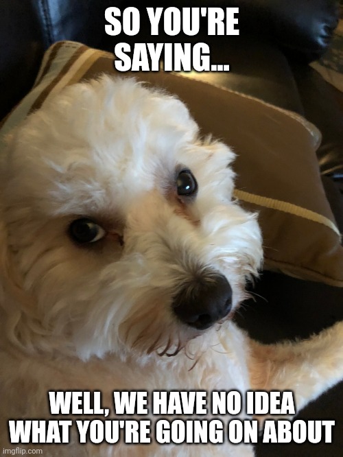 So your saying | SO YOU'RE SAYING... WELL, WE HAVE NO IDEA WHAT YOU'RE GOING ON ABOUT | image tagged in so your saying | made w/ Imgflip meme maker