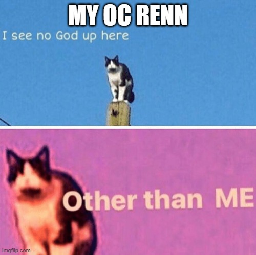Renn is a human demon | MY OC RENN | image tagged in hail pole cat | made w/ Imgflip meme maker