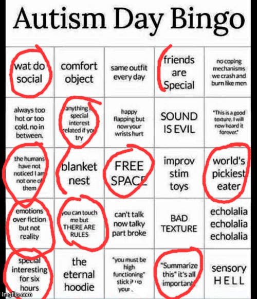 Half ones are meh, somewhat | image tagged in autism bingo,autism | made w/ Imgflip meme maker