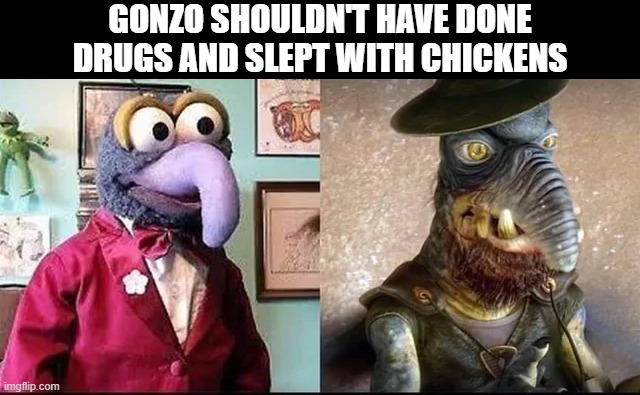 Watto Happened? | GONZO SHOULDN'T HAVE DONE DRUGS AND SLEPT WITH CHICKENS | image tagged in star wars | made w/ Imgflip meme maker