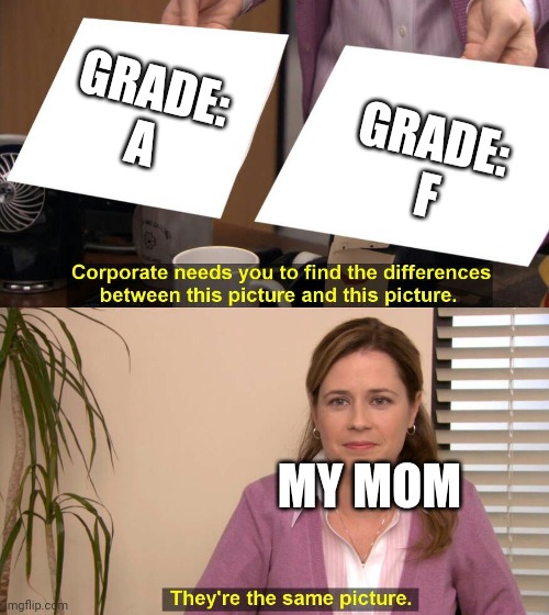 They are the same picture | GRADE: A; GRADE: 
F; MY MOM | image tagged in they are the same picture | made w/ Imgflip meme maker