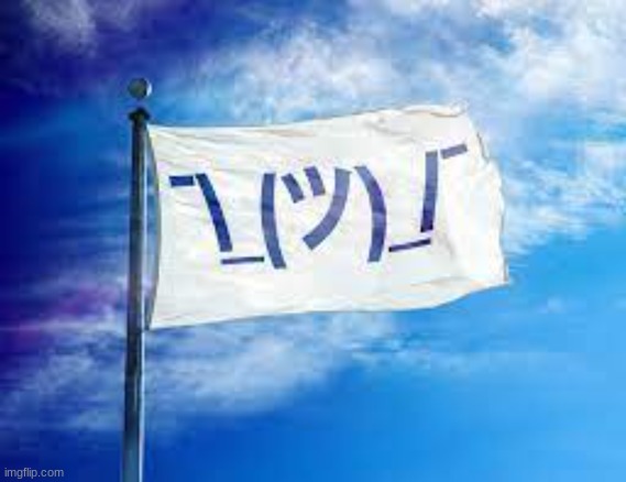 enough bickering. this is the flag of potatos island | image tagged in shruggie flag | made w/ Imgflip meme maker