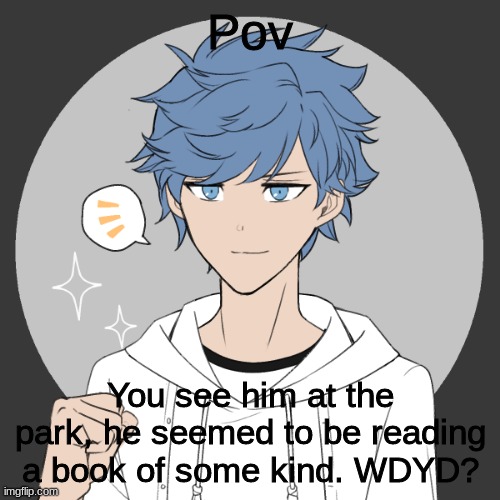Roleplay because I am bored|No killing him | Pov; You see him at the park, he seemed to be reading a book of some kind. WDYD? | image tagged in roleplay | made w/ Imgflip meme maker