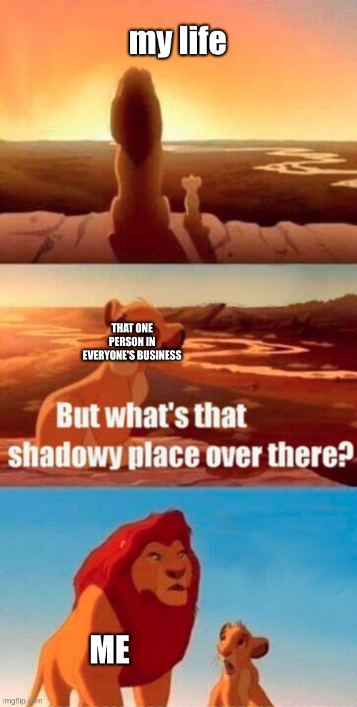 Simba Shadowy Place Meme | my life; THAT ONE PERSON IN EVERYONE'S BUSINESS; ME | image tagged in memes,simba shadowy place | made w/ Imgflip meme maker