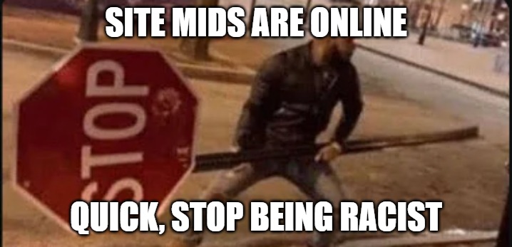 stop racing for now | SITE MIDS ARE ONLINE; QUICK, STOP BEING RACIST | image tagged in guy with stop sign | made w/ Imgflip meme maker